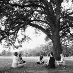 Oak Tree Meditation