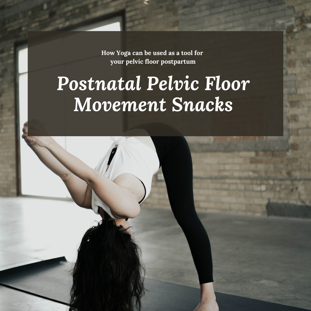 Postnatal Pelvic Floor