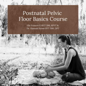 Postnatal Pelvic Floor Basics