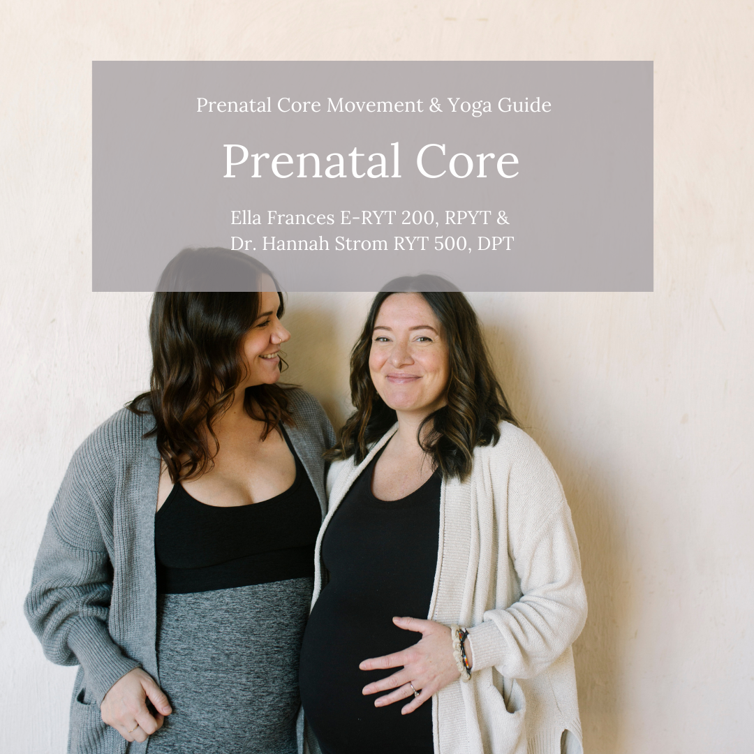 Prenatal Core Workshop